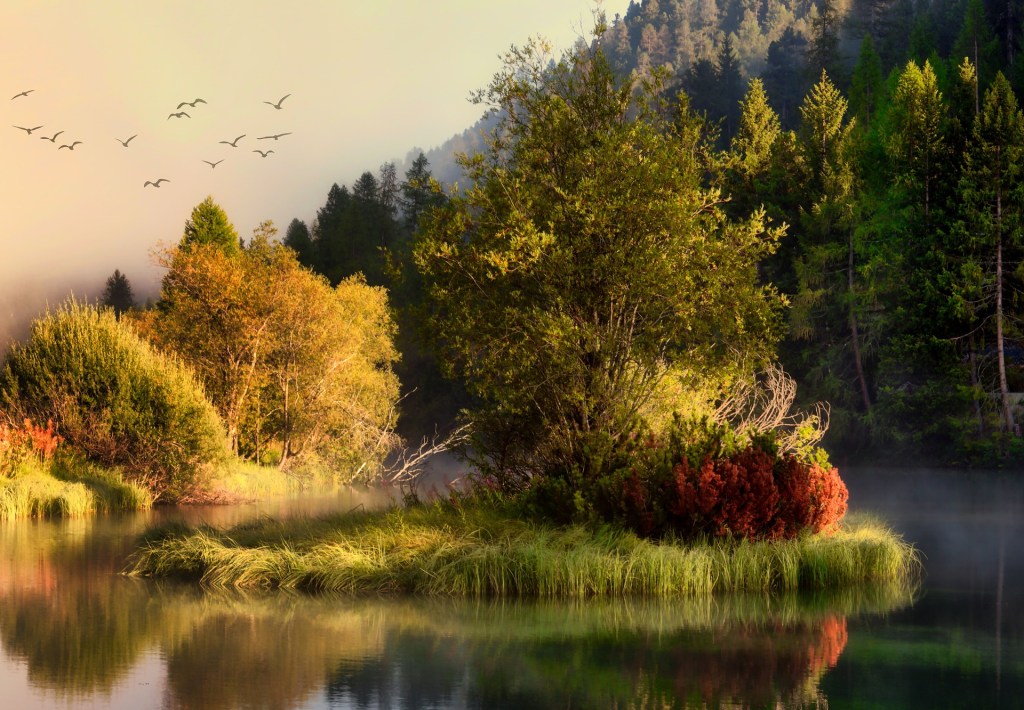 सृजन में बाधा