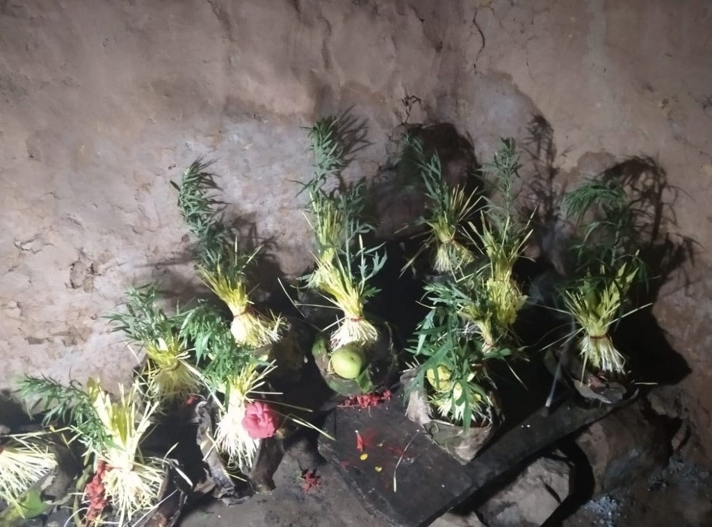 हरे – हरे&nbsp;दोने